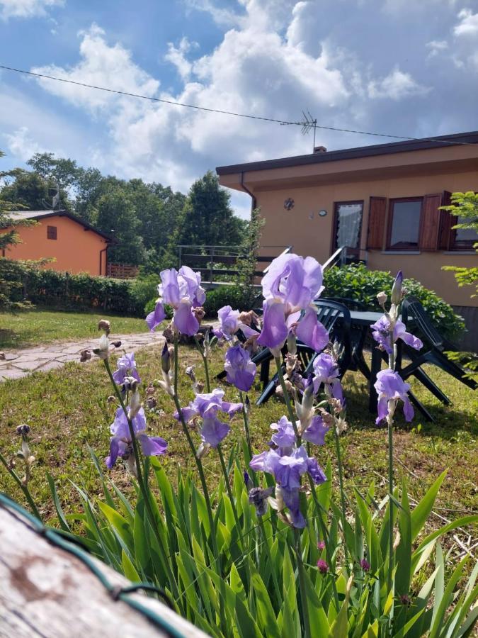 Chalet Grazia Valgiano Exterior photo